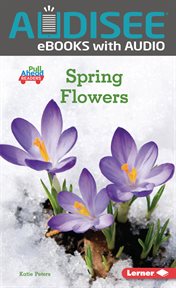 Spring flowers cover image