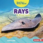 Rays : a first look cover image