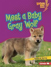 Meet a Baby Gray Wolf : Lightning Bolt Books ® - Baby North American Animals cover image