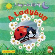 A Ladybug cover image
