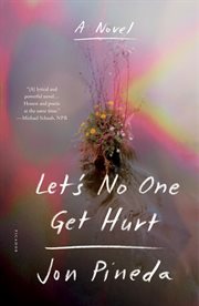 Let's No One Get Hurt : A Novel cover image