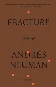 Fracture : A Novel cover image