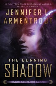 The Burning Shadow : Origin cover image