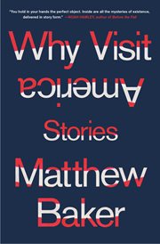 Why Visit America : Stories cover image
