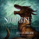 Stormrise : a novel cover image