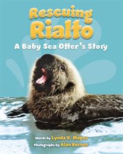 Rescuing Rialto: A Baby Sea Otter's Story cover image