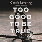 Too good to be true : a novel cover image