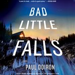 Bad little falls : a novel cover image