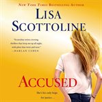 Accused : a Rosato & Associates novel