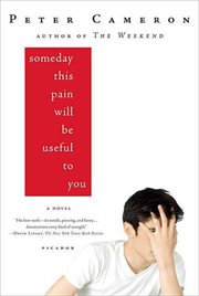 Someday This Pain Will Be Useful to You : A Novel cover image