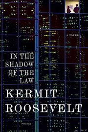 In the shadow of the law cover image