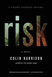 Risk : A Novel cover image