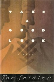 Take a Good Look : A Novel cover image