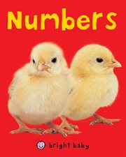 Bright Baby Numbers : Touch and Feel cover image