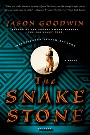 The snake stone cover image