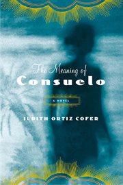 The Meaning of Consuelo : A Novel cover image