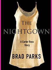 The Nightgown : Carter Ross Mystery cover image