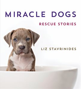 Cover image for Miracle Dogs