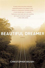 Beautiful Dreamer : A Novel cover image