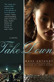 The Take Down cover image