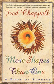 More Shapes Than One : A Book of Stories cover image