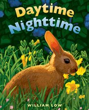 Daytime Nighttime cover image