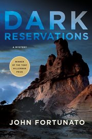 Dark Reservations : A Mystery cover image