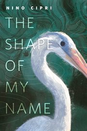 The Shape of My Name cover image