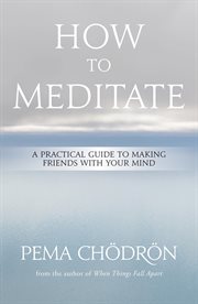 How to Meditate : A Practical Guide to Making Friends with Your Mind cover image