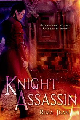 Cover image for Knight Assassin
