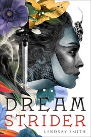 Dreamstrider cover image