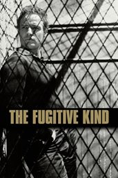 The fugitive kind cover image