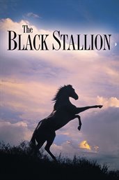 The Black Stallion cover image