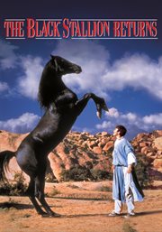 The Black stallion returns cover image