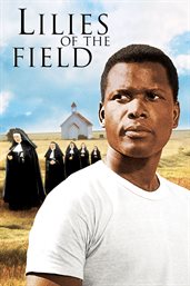Lilies of the field cover image