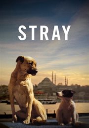 Stray cover image