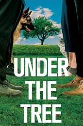 Under the tree cover image