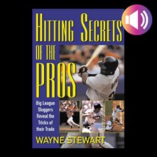 Cover image for Hitting Secrets of the Pros