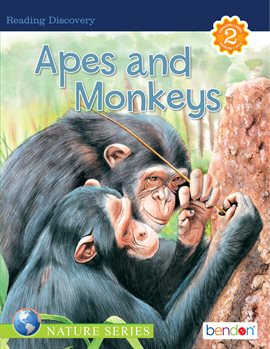 Cover image for Apes and Monkeys
