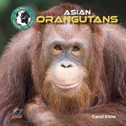 All about Asian orangutans cover image