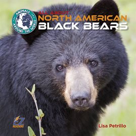 Cover image for All About North American Black Bears