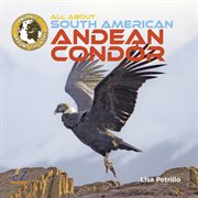 All about South American Andean condor cover image