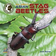 All about Asian stag beetles cover image