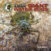 All about Asian giant water bugs cover image