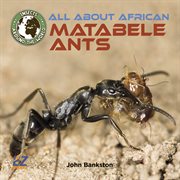 All about African matabele ants cover image