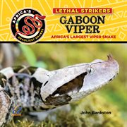 Gaboon viper: africa's largest viper snake cover image