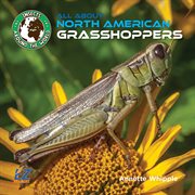 All About North American Grasshoppers : Insects Around the World: North America cover image