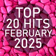 Top 20 Hits February 2025 cover image