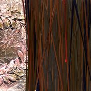 New Veteran cover image