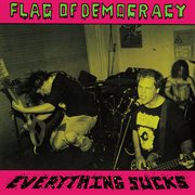 Everything Sucks cover image